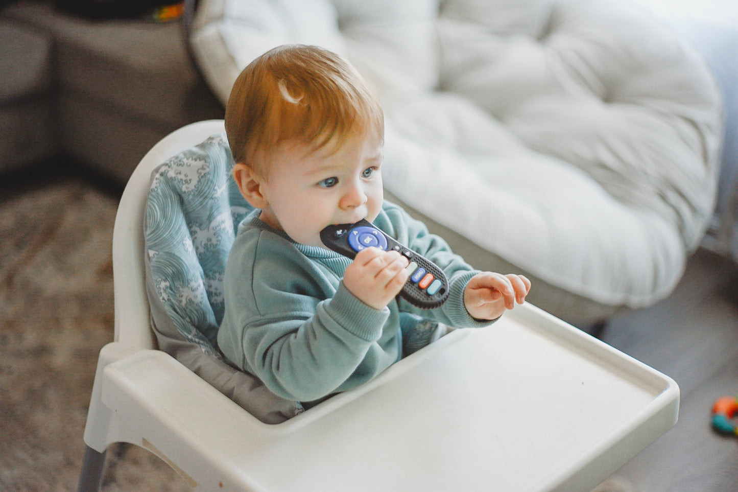 Baby Remote Control Teether Gift